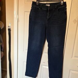 Lane Bryant Indigo Denim Jeans